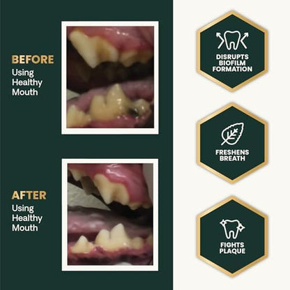 VetriScience Dental Care Powder,Perio Support Clinically Tested Dental Supplement for Small,Medium and Large Breed Dogs,Freshen Breath,Control Plaque and Tartar,Oral Health,4.2 oz,(Pack of 2)