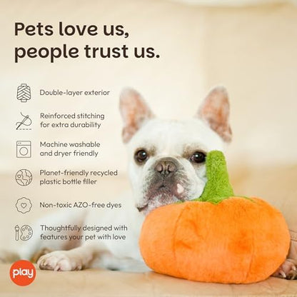 P.L.A.Y. Cute Plush Dog Toys - Fruit & Vegetable Themed Durable Squeaker Chew Toy, Great for Puppies & Small, Medium, Large Dogs - Machine Washable, Recycled Materials (Garden Fresh Pumpkin, Medium)