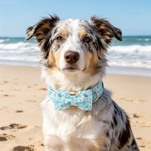 Summer Sea Animal Print Dog Collar with Bow for Large Dogs