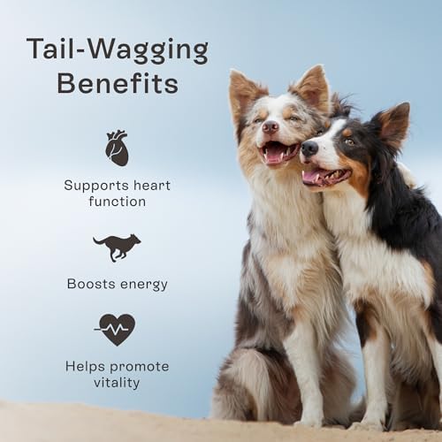 PawCo Dog Food Toppers for Picky Eaters, Heart Health – Supports Heart Function & Energy – Functional Dog Food Flavor Enhancer with Pumpkin, Carrots, & Taurine for Dogs – Magic Topper – 5.6oz