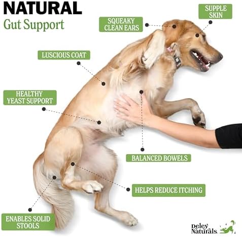 Deley Naturals Dog Probiotic Chews - 4 Billion CFU Probiotics for Dogs with Digestive Enzymes & Prebiotics - Grain Free Soft Chews for Gut Health & Digestive Support - 120 Chicken Chews Made in USA