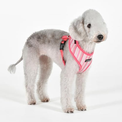 Puppia Theros Dog Harness A (Over-The-Head) Fashionable Striped Pattern Spring Summer Harness for Small and Medium Dogs, Pink, Large