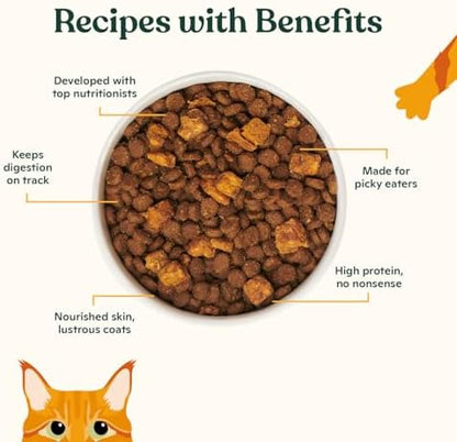 Made by Nacho Dry Cat Kibble 10lb Bag, High Protein Premium Cat Food with Freeze Dried Pieces, Sustainably-Caught Salmon, Whitefish & Pumpkin, Limited Ingredients, Single Bag