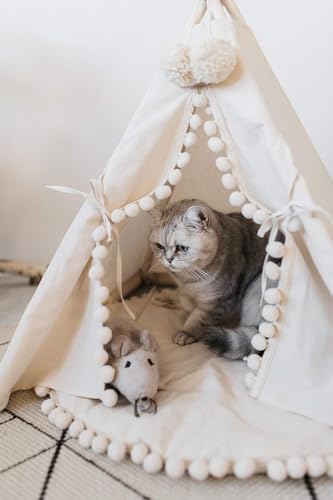 MINICAMP Pet Teepee Bed for Cats – Cozy Cat Beds for Indoor Cats – Luxury Pet House & Hideaway Bed for Cats & Small Animals - Made in EU (Small)