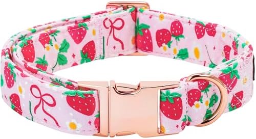 Spring Dog Collar, Red Strawberry Print Pet Collars Pink Cute Durable Metal Buckle Girl and Boy Dog Collars Adjustable for Small Medium Large Dogs