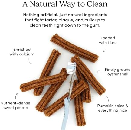 Crumps' Naturals Pumpkin Spice Plaque Busters 7" - 8 Pack