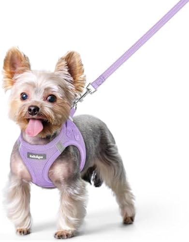 rabbitgoo Dog Harness Small Sized and Leash Set, Step-in Puppy Pet Vest