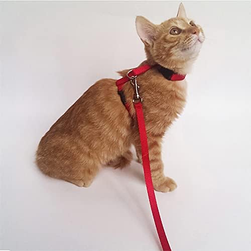 2 Pcs Adjustable Bunny Rabbit Harness with Leash Cat Puppy Walking Harness Leash Pet Harness Leash for Pigs Hamster Small Animals Red and Blue