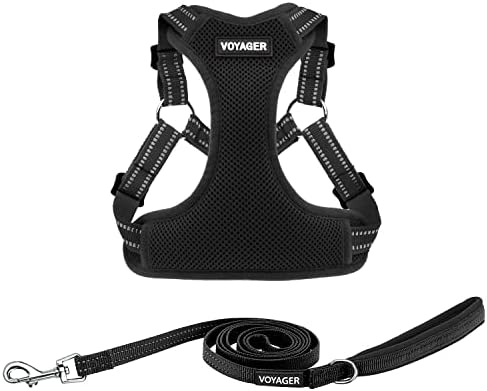Best Pet Supplies Voyager Adjustable Step-in Flex Breathable Mesh Dog Harness for Small Medium Large Dogs Leash Set (Black), M