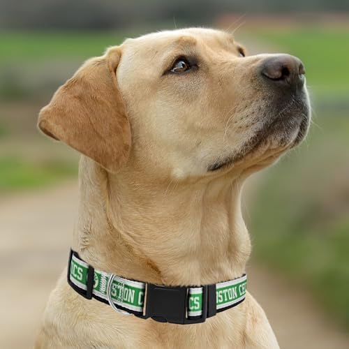 New & Improved Pets First NBA PET Collar Boston Celtics Dog Collar, Size Small Basketball Team Collar for Dogs & Cats. A Shiny & Colorful Dog & Cat Collar Licensed by The NBA
