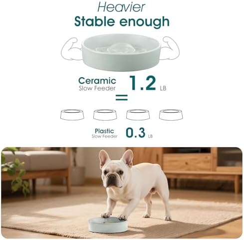 vancasso Slow Feeder Dog Bowls, 0.6 Cup Ceramic Puzzle Dish for Small Breed