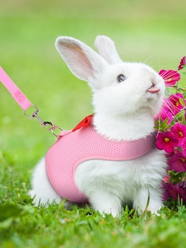 Bunny Harness and Leash Set for Walking Escape Proof,Pink M Chest:9.4-11.8"