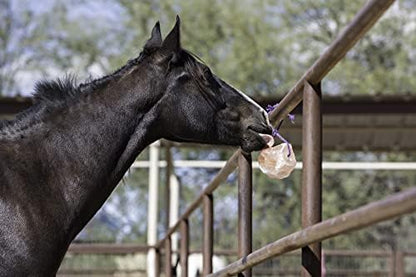 Horsemen's Pride Himalayan Salt Block on Rope for Horses, 4.4 Pounds, SS44 (Pack of 2)