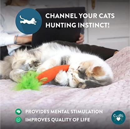 OurPet's 100-Percent North American Catnip Filled Carrot Cat Toy 24 Karat (Pack of 2)