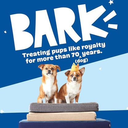BarkBox Orthopedic Dog Bed - Large