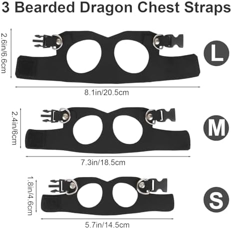 Bearded Dragon Leash and Harness Set