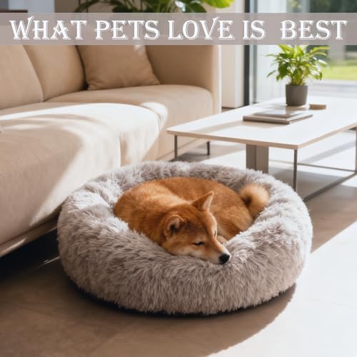 Washable Calming Dog & Cat Bed for Ultra Large Small Medium Size Pet