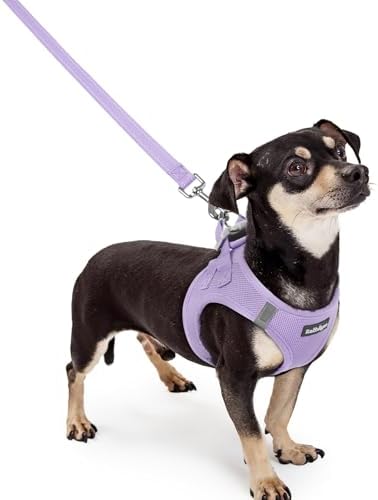 rabbitgoo Dog Harness Small Sized and Leash Set, Step-in Puppy Pet Vest