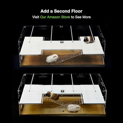 GuineaLoft™ Model-A3Loft 2-Level Acrylic Guinea Pig Cage w/Loft