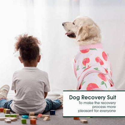 Kuoser Recovery Suit for Dogs Cats, Soft Dog Surgery Suit Female Male Spay