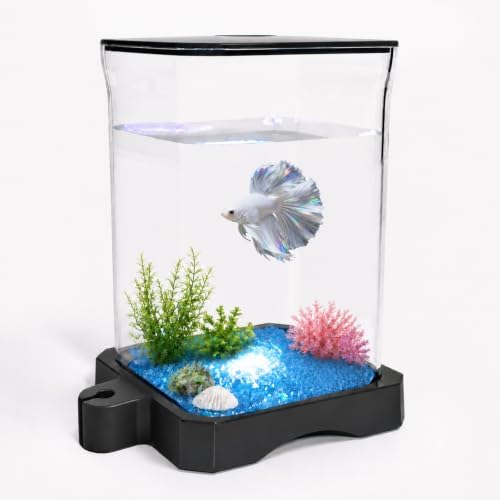 0.5 Gallon Betta Fish Tank Aquarium Starter Kit with Light and Lid(Black)