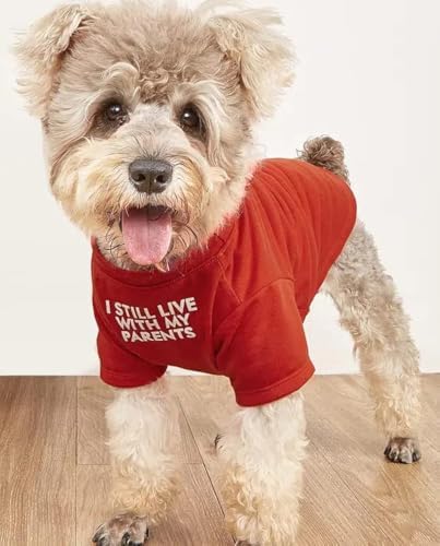 Cute Dog Clothes, T Shirt for Medium and Small Dogs Girl Boy,Puppy.Breathable Soft Dog Costume for Pet Dogs Cats, Pet Pullover Jumper, Cat Clothes(S-(4~8lb), Chest~14", Red, Parents)