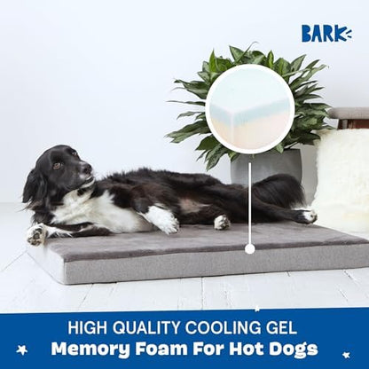 BarkBox Orthopedic Dog Bed - Large
