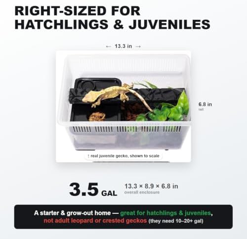 3.5 Gallon Reptile Terrarium Kit - Hatchling & Juvenile Gecko Tank with Humidity Hide, Ledge & Feeding Dish - for Baby Geckos, Dart Frogs, Jumping Spiders & Isopods
