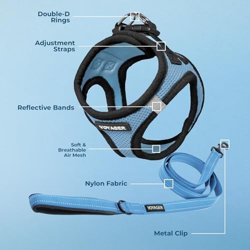 Best Pet Supplies Voyager Step-in Air All Weather Mesh Harness and Reflective Dog 5ft Leash Combo with Neoprene Handle, for Small, Medium and Large Breed Puppies - Baby Blue/Black Trim, Small