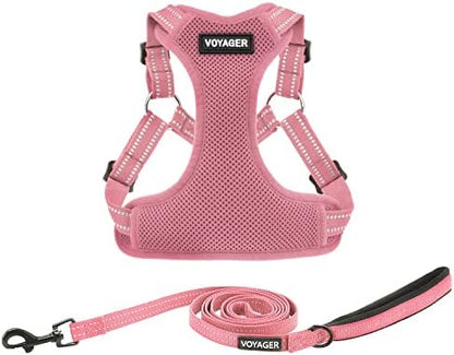 Best Pet Supplies Voyager Adjustable Step-in Flex Breathable Mesh Dog Harness for Small Medium Large Dogs Leash Set (Pink), XS
