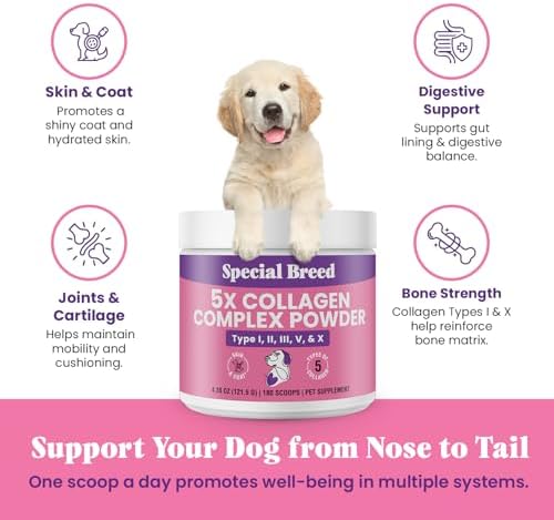 Premium 5X Collagen Powder for Dogs - Types I, II, III, V & X - Skin, Join, Gut & Coat Support - Collagen Powder with Bamboo & Vitamin C, 180 Scoops 4.28 oz