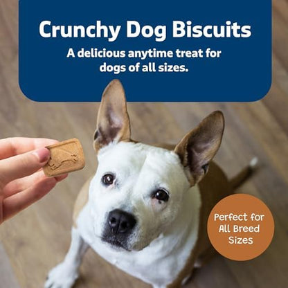 Blue Buffalo Health Bars Pumpkin & Cinnamon Crunchy Dog Biscuits, Oven-Baked with Pumpkin & Natural Ingredients, Healthy Dog Treats with No Artificial Flavors or Preservatives, 16 oz. (Pack of 4)