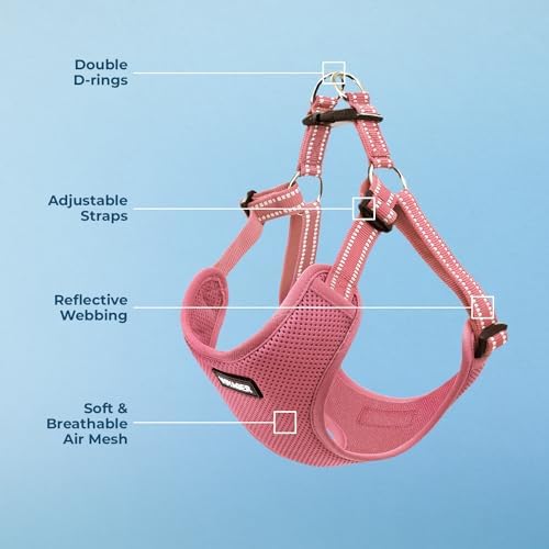 Voyager Step-in Flex Adjustable Dog Harness - Pink, Medium