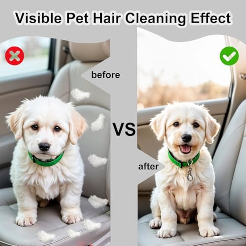 InnoHHustle 2 Pcs Pet Hair Block, Pet Hair Remover Grey Pumice Stone for Dog Cat Fur Removal Cleaning Dog Cat Fur Remover Stone Pets Rocks for Sofa Car Interior Bedding Carpet Couch Furniture