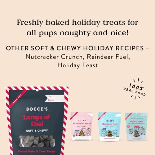 Bocce's Bakery Lumps of Coal Recipe Treats for Dogs, Wheat-Free Everyday Dog Treats, Made with Real Ingredients, Baked in The USA, All-Natural Soft & Chewy Cookies, Peanut Butter & Molasses, 6 oz