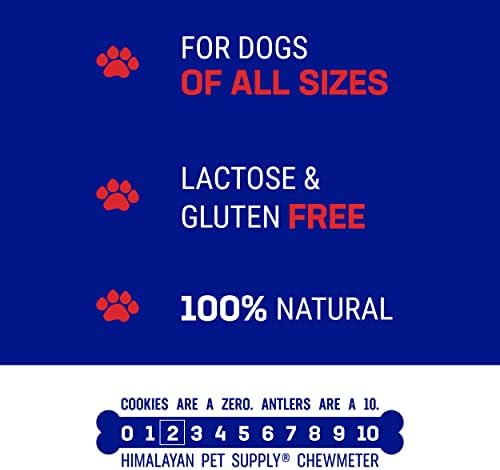 Himalayan Dog Chew Happy Teeth Yak Cheese, Soft Dog Chews, 100% Natural Soft Density Dental Treats, Gluten Free, Safe Treats for Oral Health, Lactose & Grain Free, Protein Rich, Bacon, 2 Count