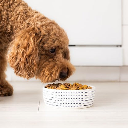 Pearhead Ceramic Dog Bowl, Small/Medium 2.25 Cups/ 18 oz, Blue Dots