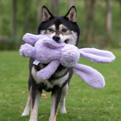 Best Pet Supplies Bunny Buddy Squeaky Plush Dog Toy - Purple, Small
