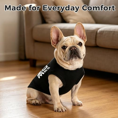 BINGPET Bad to The Bone Dog Shirt, Soft Cotton T-Shirt, Halloween Costumes