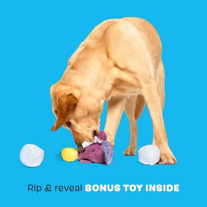 BarkBox Drongo Platypus Dog Toy - for Small to Medium Dogs
