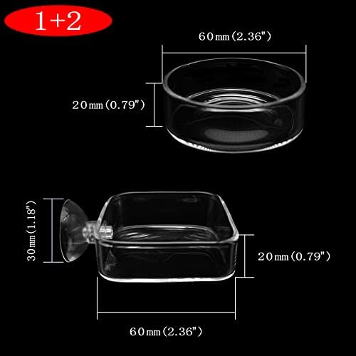 Aquarium Shrimp Feeder Dish Glass Fish Tank Feeding Bowls, 2pcs Square Glass Food Bowl (60mm), 1pcs Round Fish Feeding Bowls with Suction Cups (60mm)