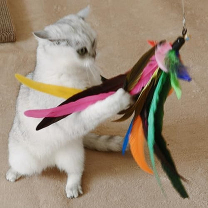 miwoowim 2PCS Retractable Cat Teaser Wands & 9PCS Feather Refills Toy Set