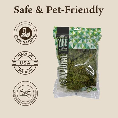 Mood Moss for Terrarium Habitats, Small 1-Pack
