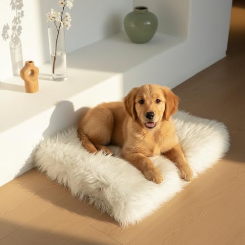 Faux Fur Orthopedic Rectangular Dog Bed, Memory Foam, White Small 23"x18"