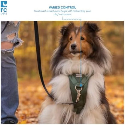 RC Pets Tempo No Pull Dog Harness, Medium, Heather Teal
