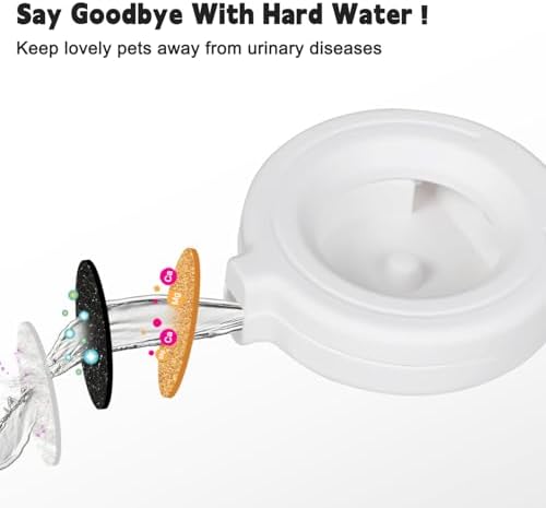 RIZZARI 4L Gravity Cat Water Dispenser: Filtered Hydration for Indoor Cats