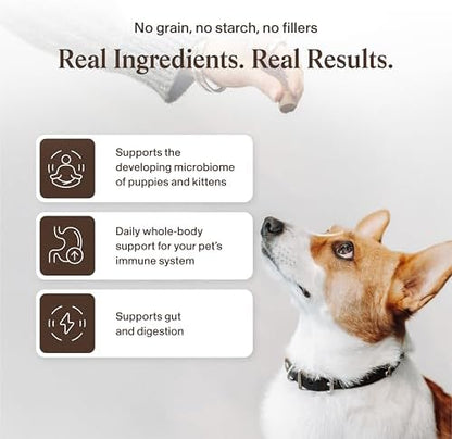 Real Mushrooms Lion’s Mane with Qrill Pet - Lion's Mane for Dogs and Cats with Krill Meal, Beta-Glucan Rich Mushroom Extracts for Immune, Digestion, and Brain Support for Puppies and Kittens, 75g