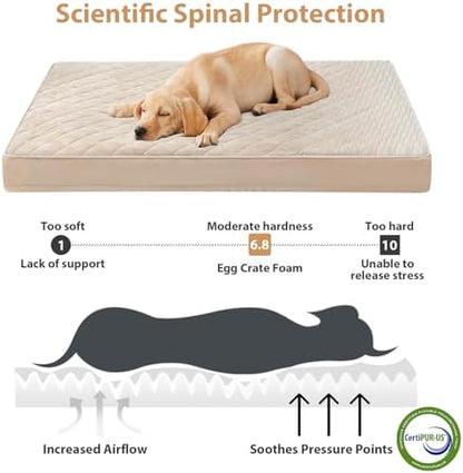 WNPETHOME Orthopedic XXL Dog Beds for Large Senior Dog Bed Comfy Sleeping