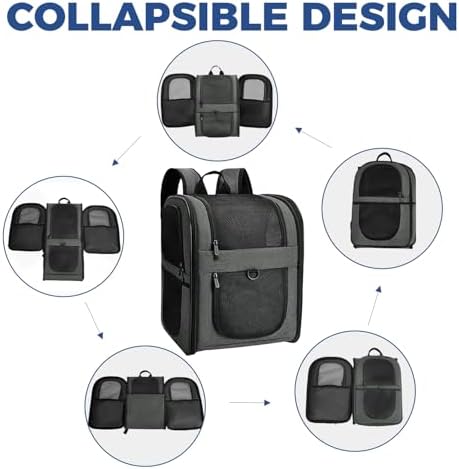 Apollo Walker Cat Carrier Backpack for Small Dogs and Cats Up to 18 lb