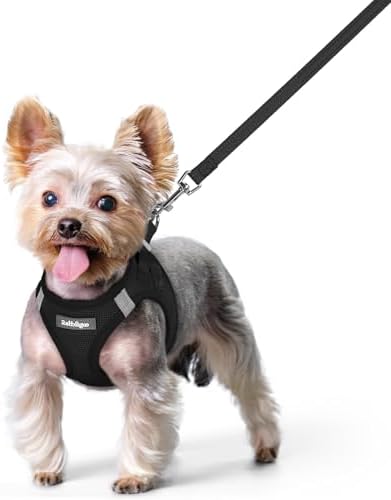 rabbitgoo Dog Harness Small Sized and Leash Set, Step-in Puppy Pet Vest
